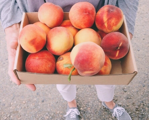 Peaches  Things to do in Fredericksburg, Texas