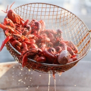 Fredericksburg Crawfish Festival crawfish in basket