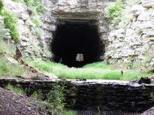 old-tunnel-wildlife-management